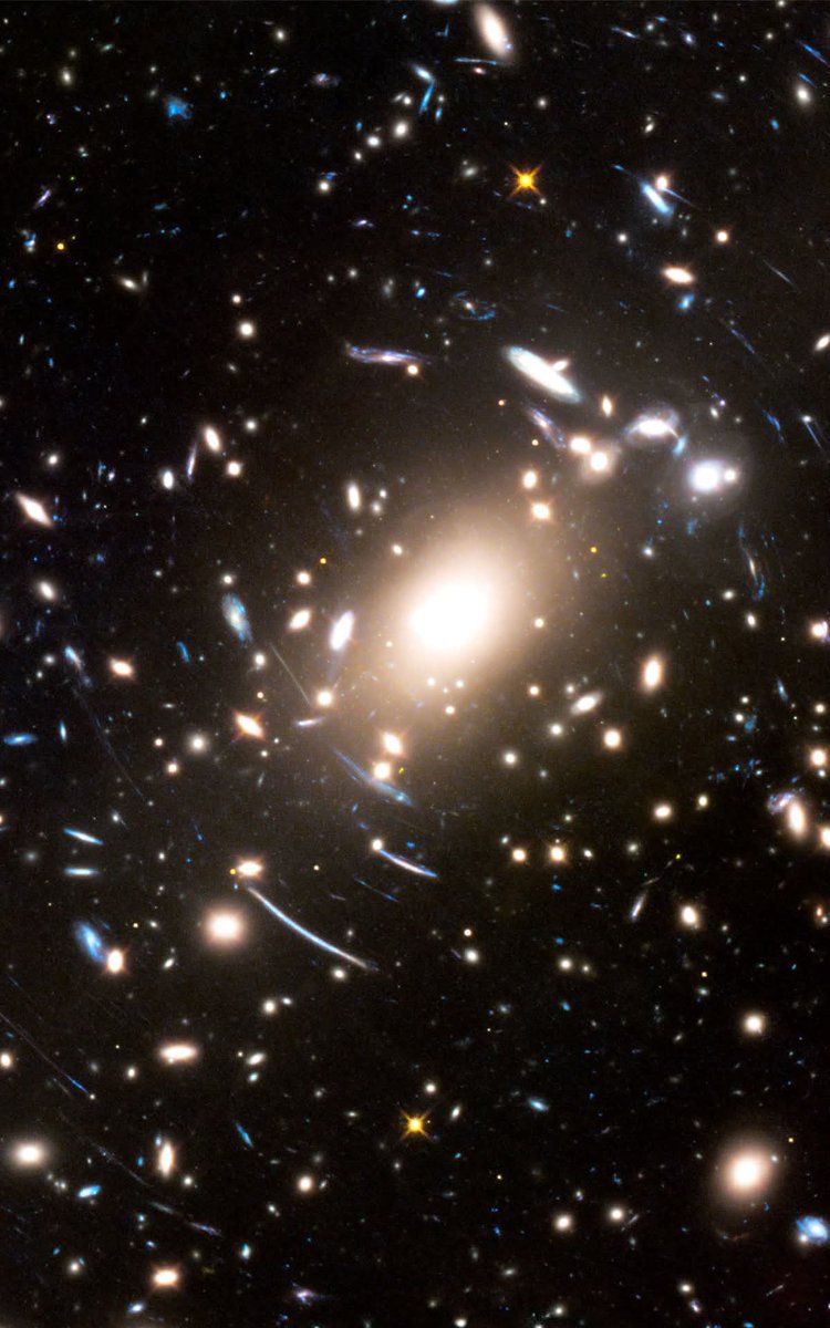Black Hole tweet media