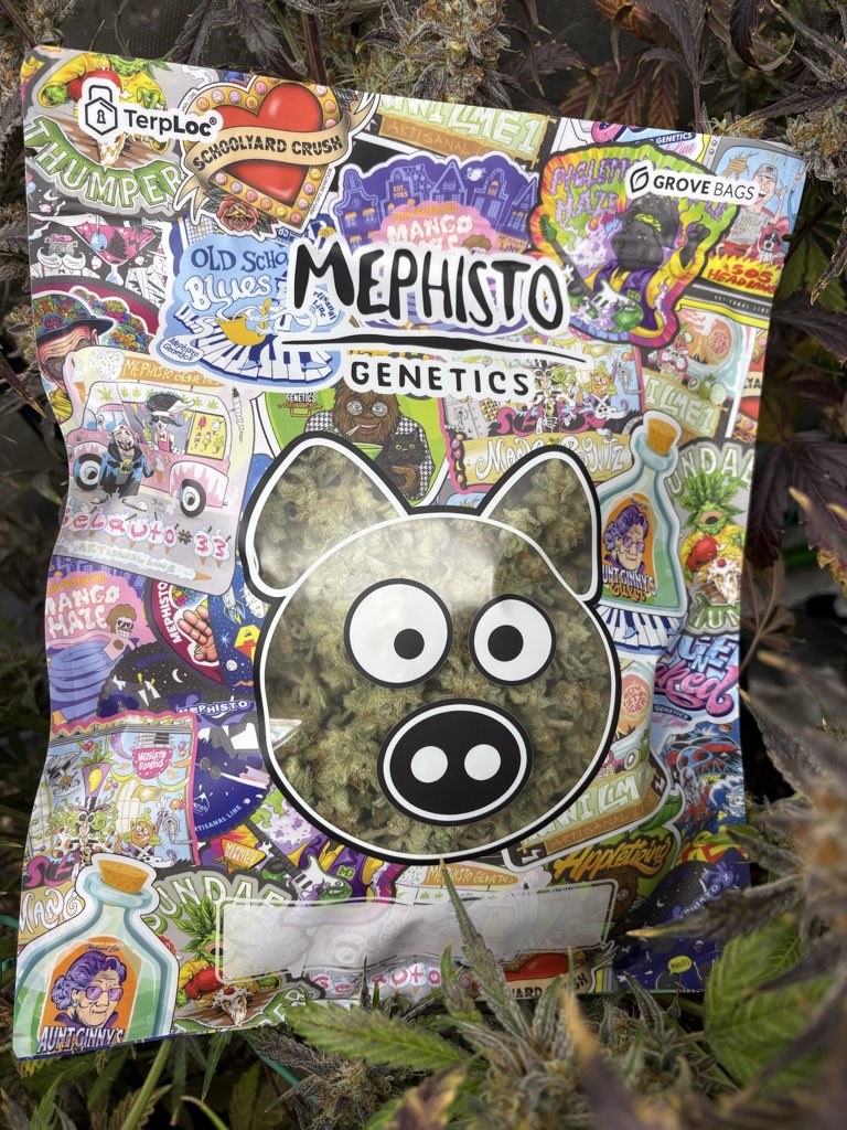 JBsGrowing's tweet photo. New Mephisto grove bags!!! https://t.co/zpfTnVUunR