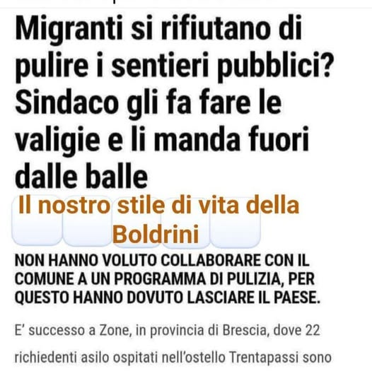 Michi tweet media
