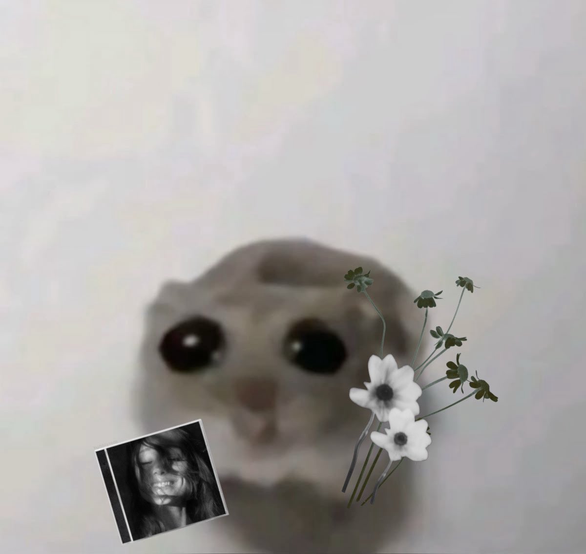han ꕤ tweet media