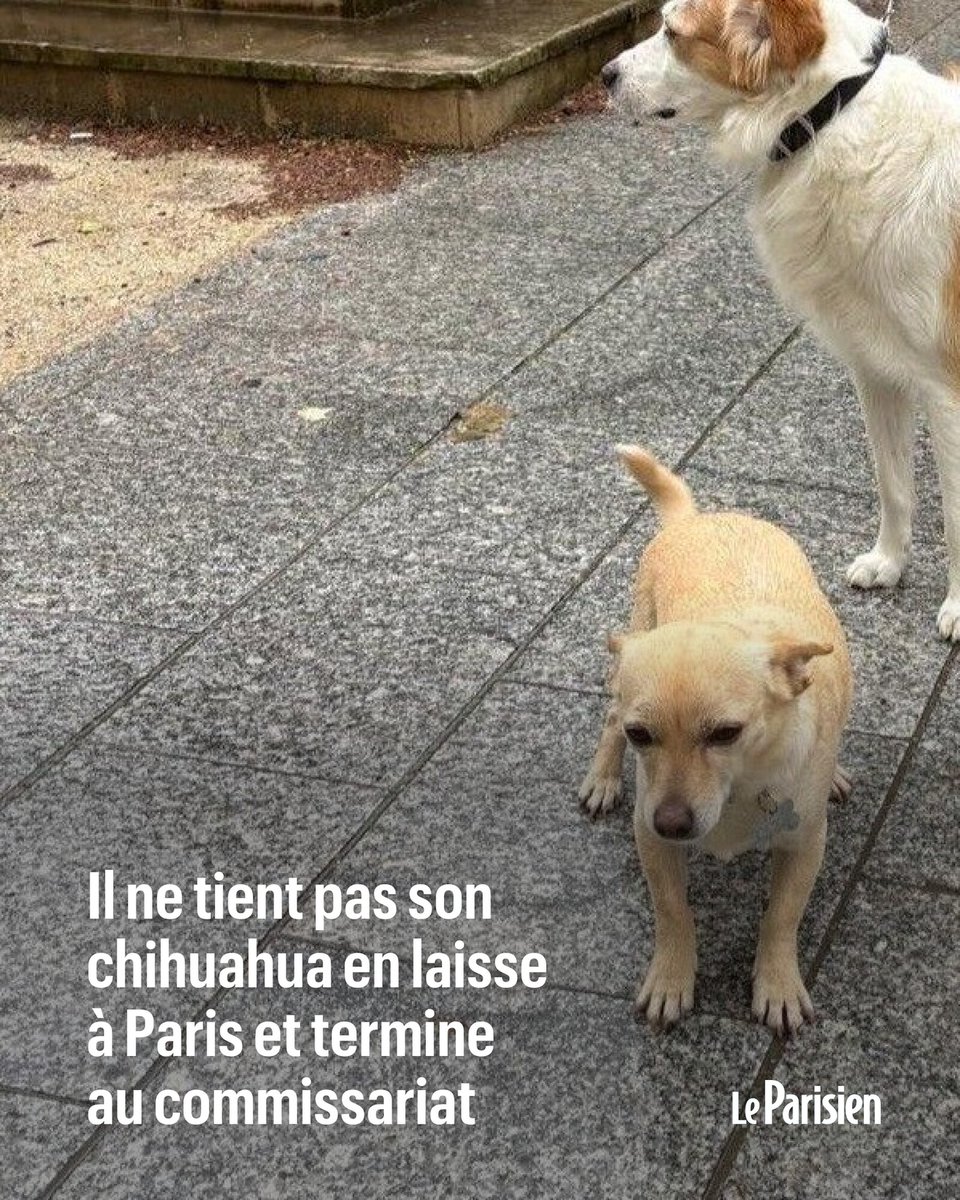 Le Parisien tweet media