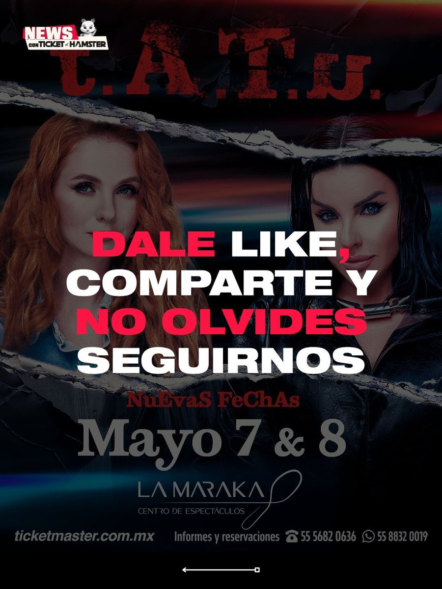 Ticket el Hámster 🐹 tweet media