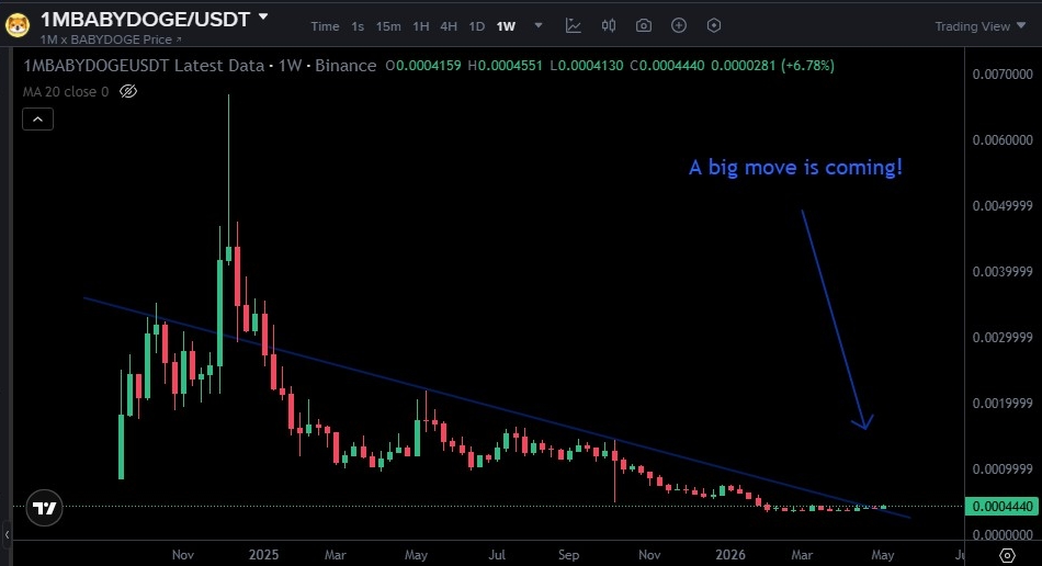 Are you positioned for the next breakout? 

🚀🐶

#BabyDoge #BabyDogeArmy #Crypto #Altseason