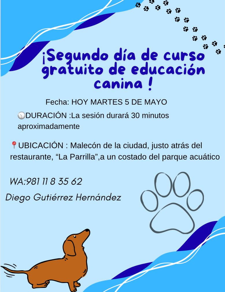 Penúltima oportunidad de educación canina gratuita HOY!