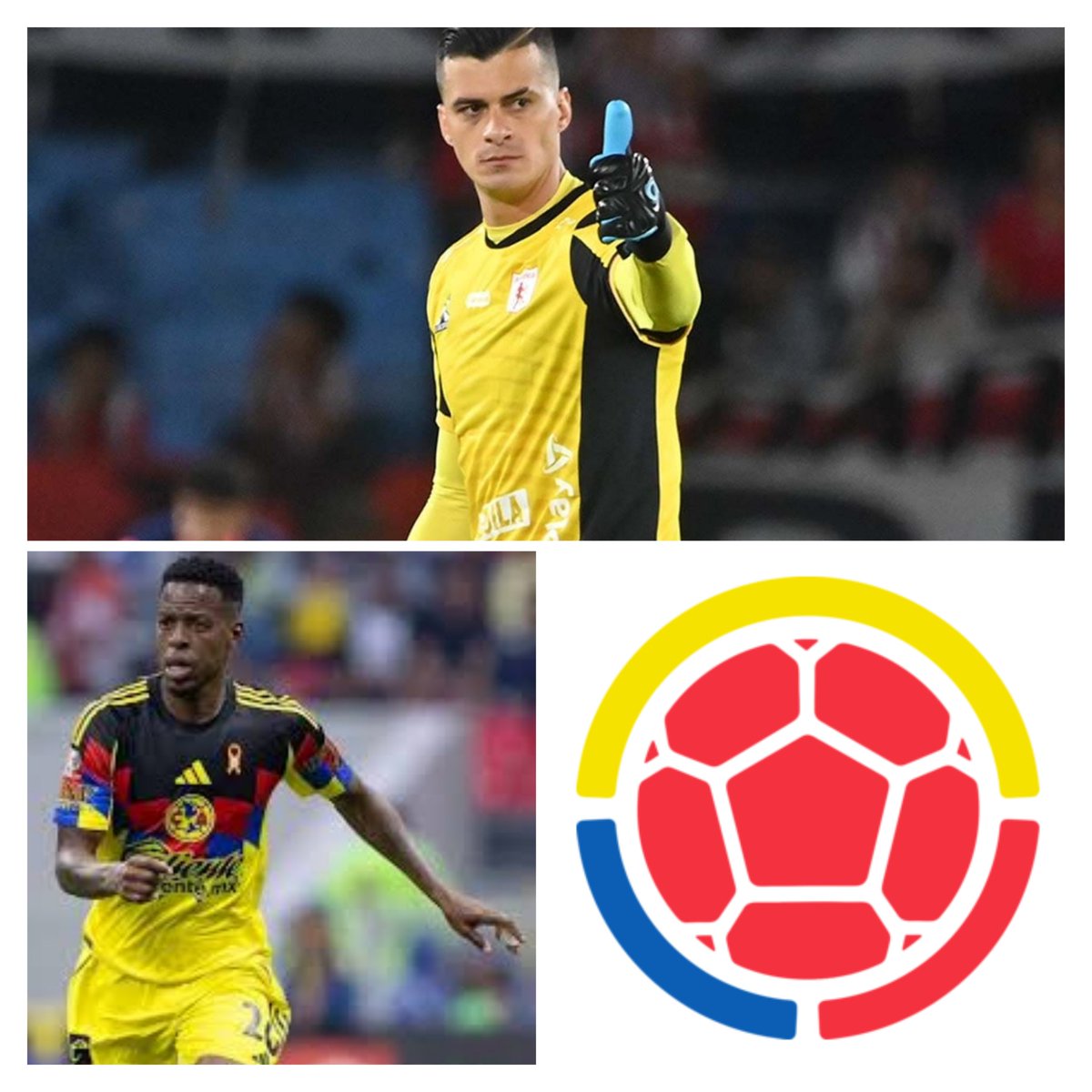 Alexis Rodriguez tweet media