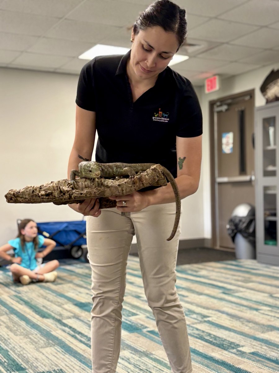 Greenville Zoo tweet media