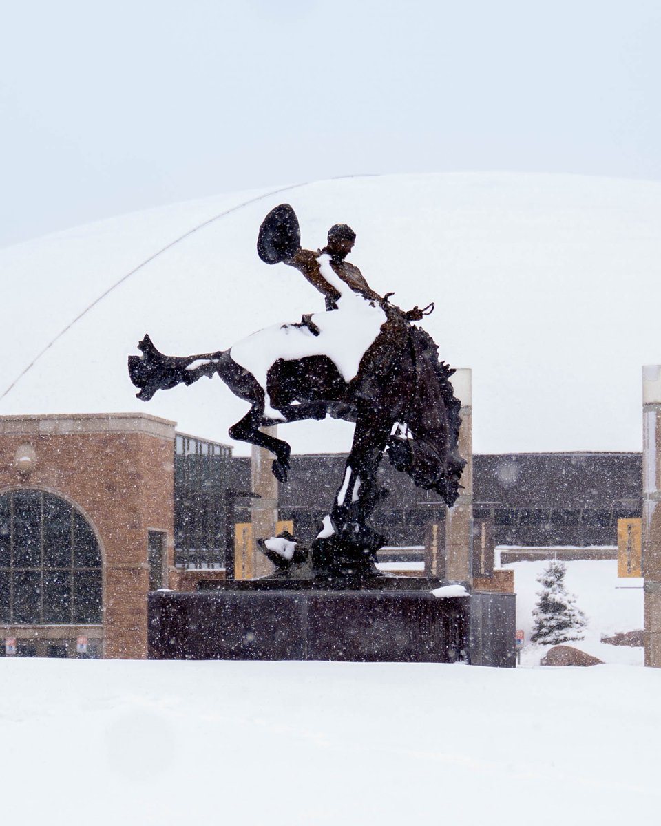 Wyoming Athletics tweet media