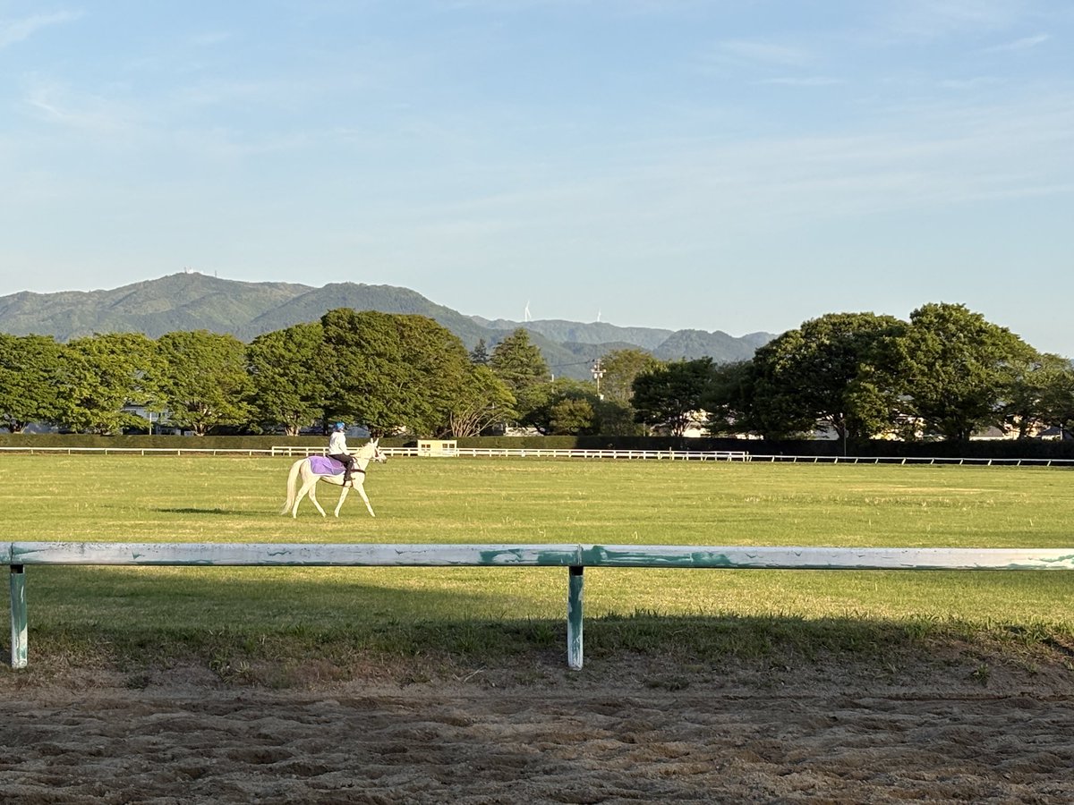 相馬野馬追執行委員会【公式】🐴 tweet media