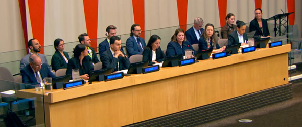 NZ at the UN tweet media