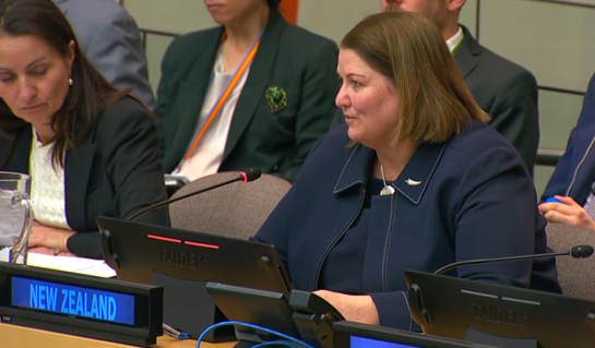 NZ at the UN tweet media