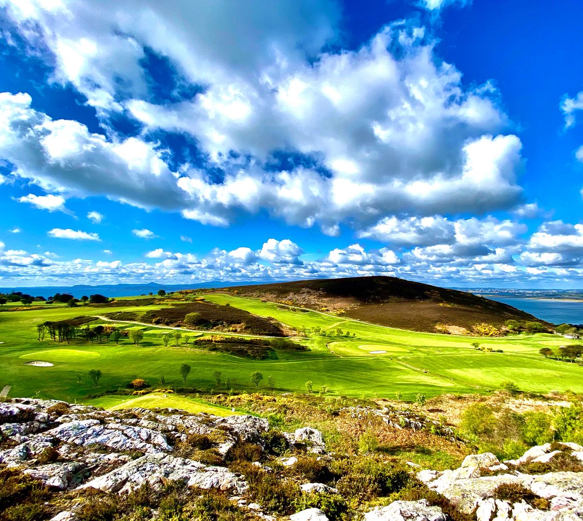 GreenKeeping Ireland tweet media