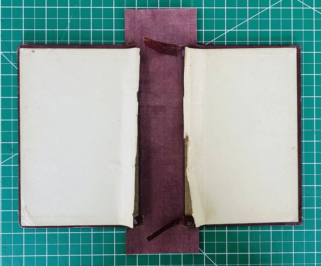 AMP CHAMP tweet media