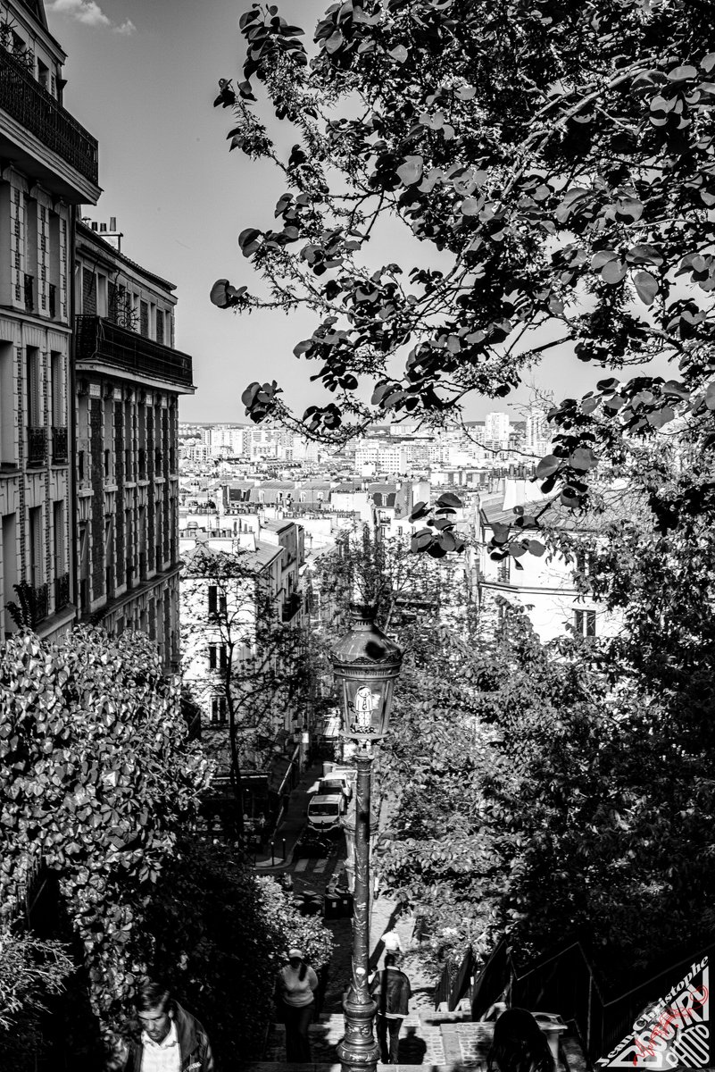 jc_DjC's tweet image. Rue Maurice Utrillo
Paris 18 arrondissement
28 04 2025

#Jean_Christophe_BOUVRY_Photos
#photos
#Paris2025