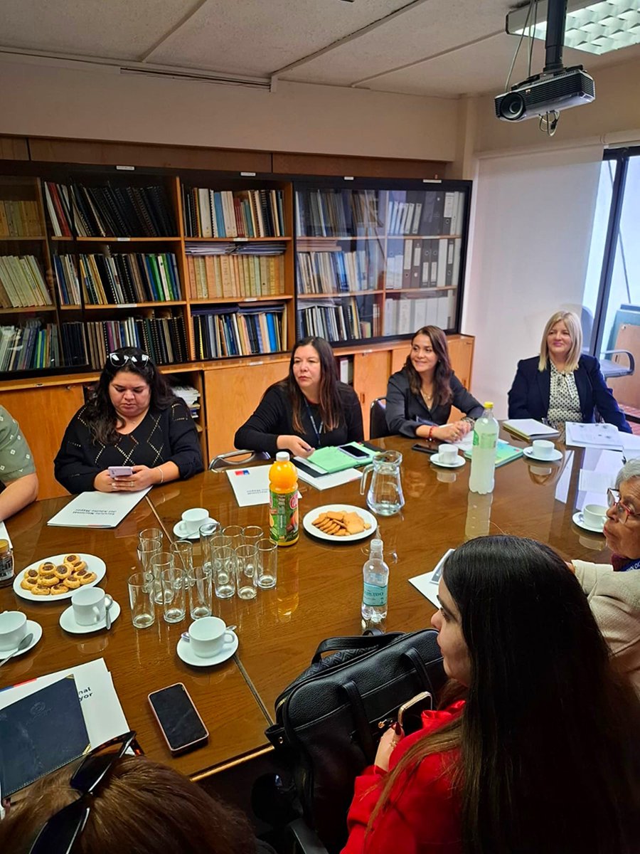 MDSAtacama's tweet photo. Mejorar las condiciones de vida de las personas mayores es una tarea que nos convoca a todos 🤝
☝🏻Hoy se desarrolló la 1º Sesión del Comité Regional del Adulto Mayor, presidido por nuestra Seremi Jéssica Gómez.
¡Seguimos trabajando por la Generación Dorada!
#TrabajandoParaUsted🇨🇱 https://t.co/mTSZgCcuCp