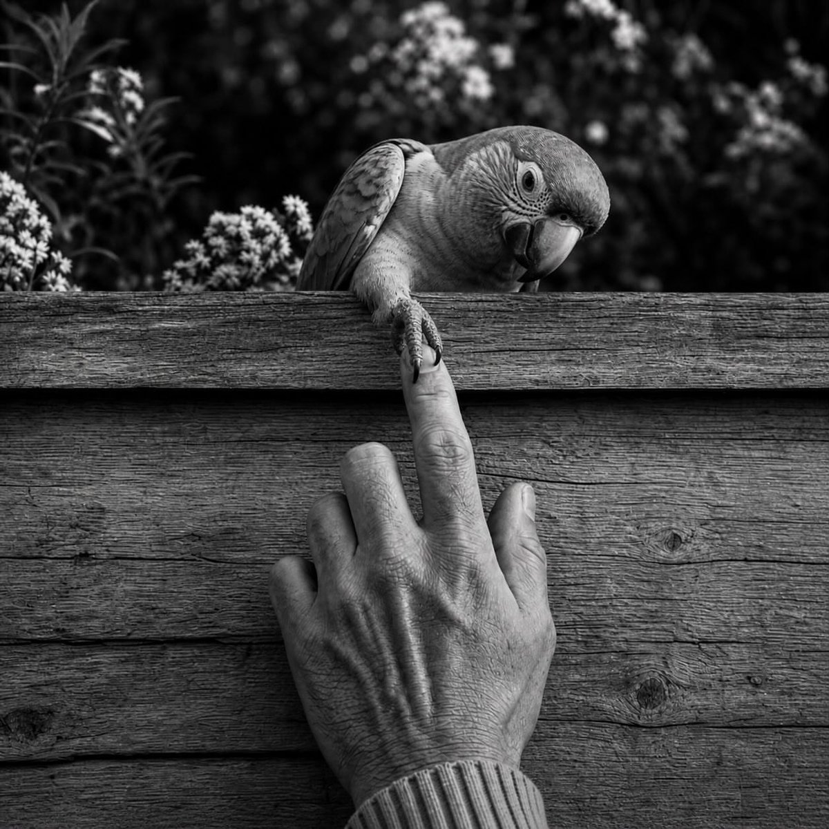 birdscolour56's tweet photo. This is trust. 🥰 https://t.co/IwZoyj0LIZ