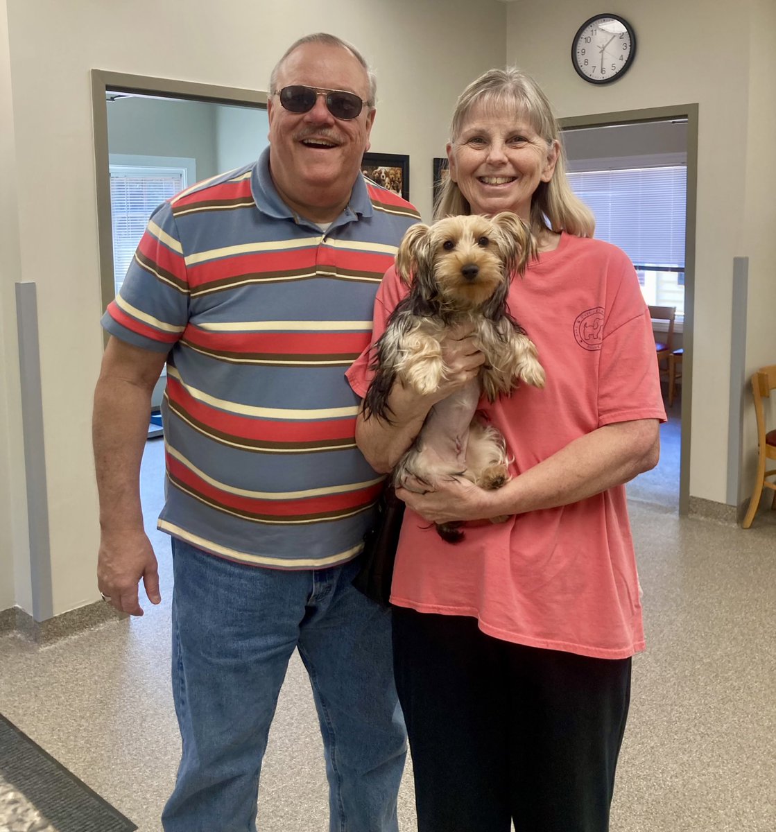 SpaySpa's tweet photo. Everybody say hi to today’s Puppy of the Day - lovely little Yorkie lady Minnie Pearl! She’s indeed mini and definitely adorable, and she stopped by with her awesome people for her spay day and a nail trim! (Just look at that face!) https://t.co/4Re0GQ2n3v