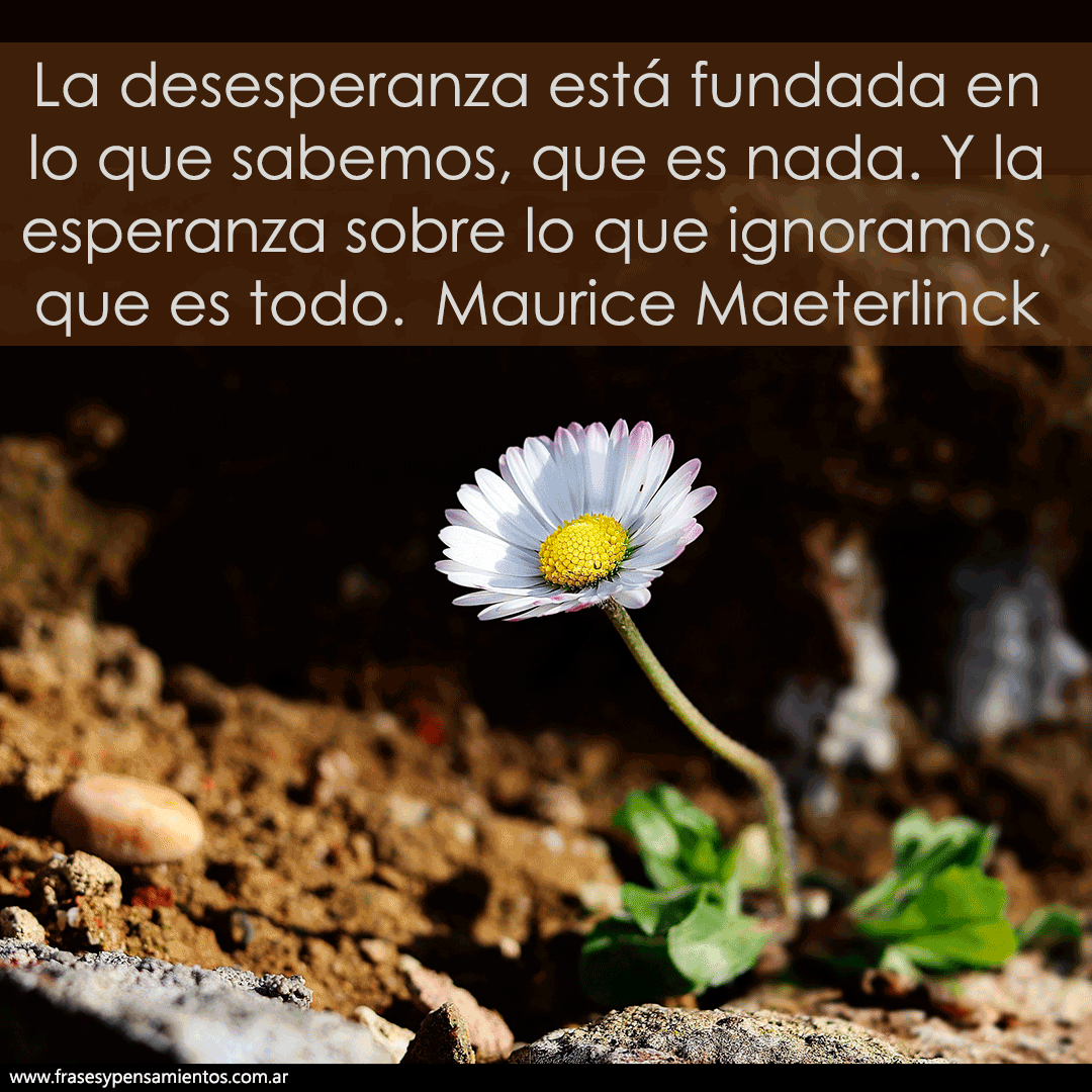 #mauricemaeterlinck  (1862-1949) - La desesperanza está fundada en lo que sabemos, que es nada. Y la esperanza sobre lo que ignoramos, que es todo. frasesypensamientos.com.ar/autor/maurice-…