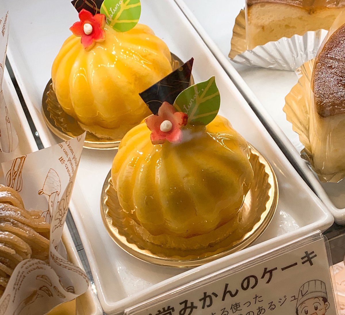 昔、包装資材の値上げがすごかった時にウチのお菓子は基本5号を6カットの三角形にしました。
そうする事で小さなお箱に入れれるし、包装資材も安価ですむのでケーキをおおきく値上げしないで済みました。

ただ、ついにケーキに巻くフィルムが無くなるかもと業者さんからお話が。