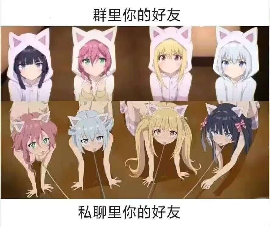 铨Quan🏳️⚧️🍥|雪秋重度依赖 tweet media