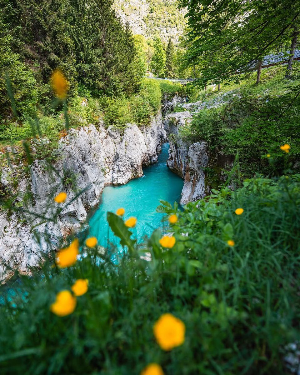 Exploring Slovenia tweet media