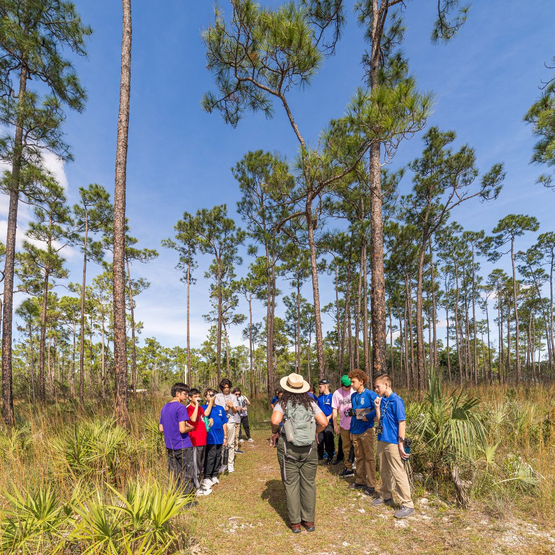 Everglades National Park tweet media