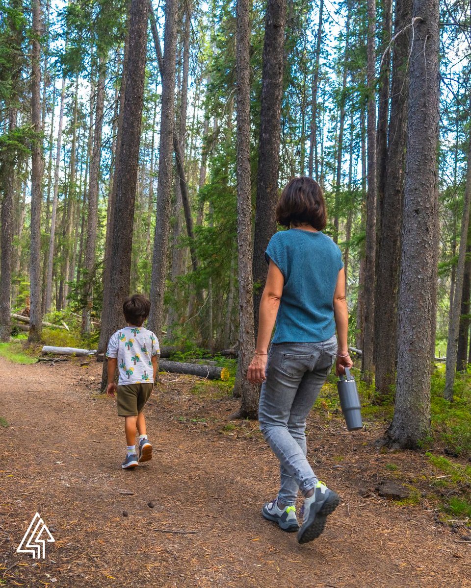 Forests Canada tweet media