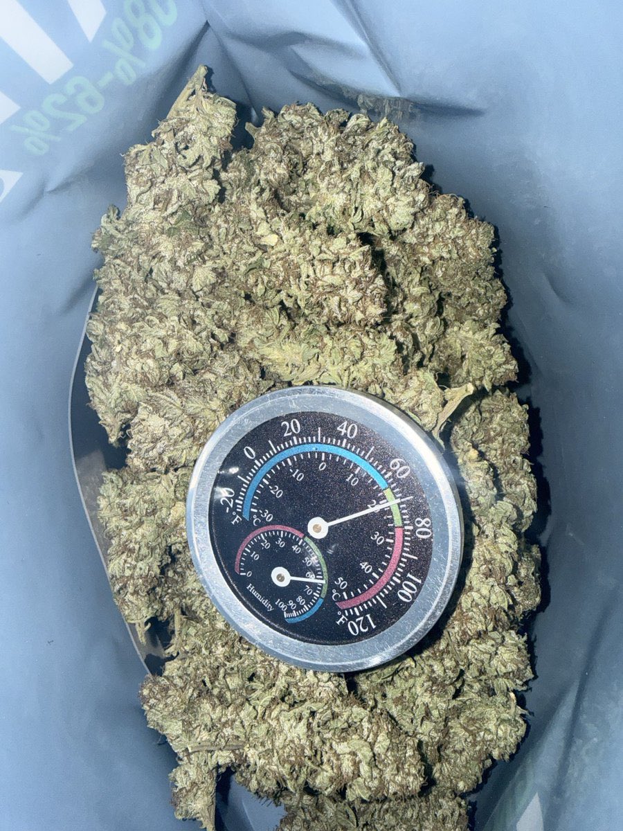 Same day weed, thc disposable vapes, carts delivery in Hawaii, West Loch, Waipahu, Waikele, Waipio, Oahu, Royal Kunia, Pearl City, Mililani, Waimalu, Aiea, Halawa, Monalua, Fort Shafter, Pearl Harbor, Honolulu, Kakaako, Ala Moana, Milolii, Captain Cook, Hanaunu Napoopoo