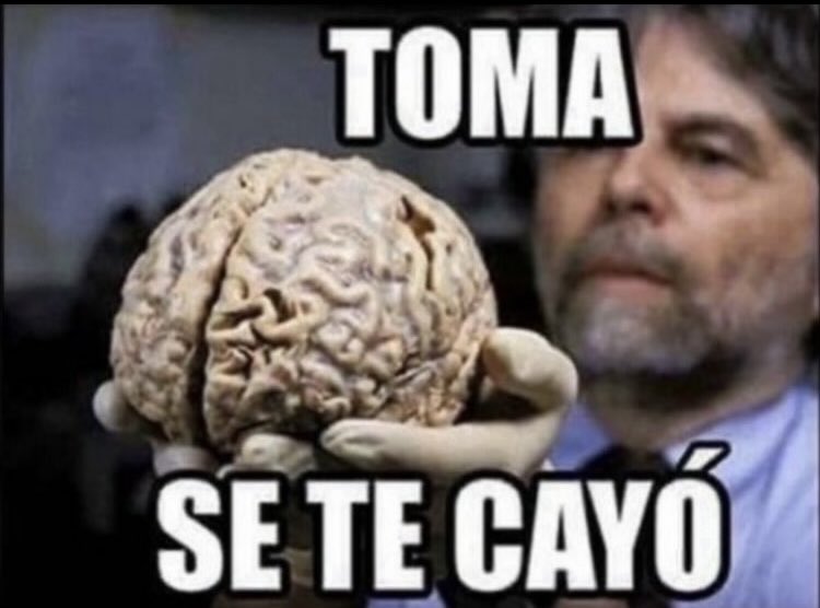 ErCoMa tweet media