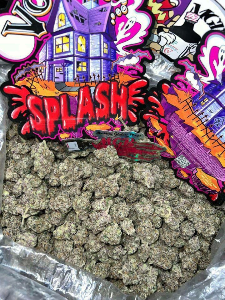 Same day weed, thc disposable carts, vapes delivery in Hawaii, HI, Waimea Bay Beach, Kawailoa Beach, Laniakea Beach, Haleiwa, Waialua, Mokuleia, Makua Beach, Keawalaula, Makaha, Waianea, Maili, Nanakuli, Ko Olina, Makakilo, Kapolei, Kalaeloa, Ewa Beach