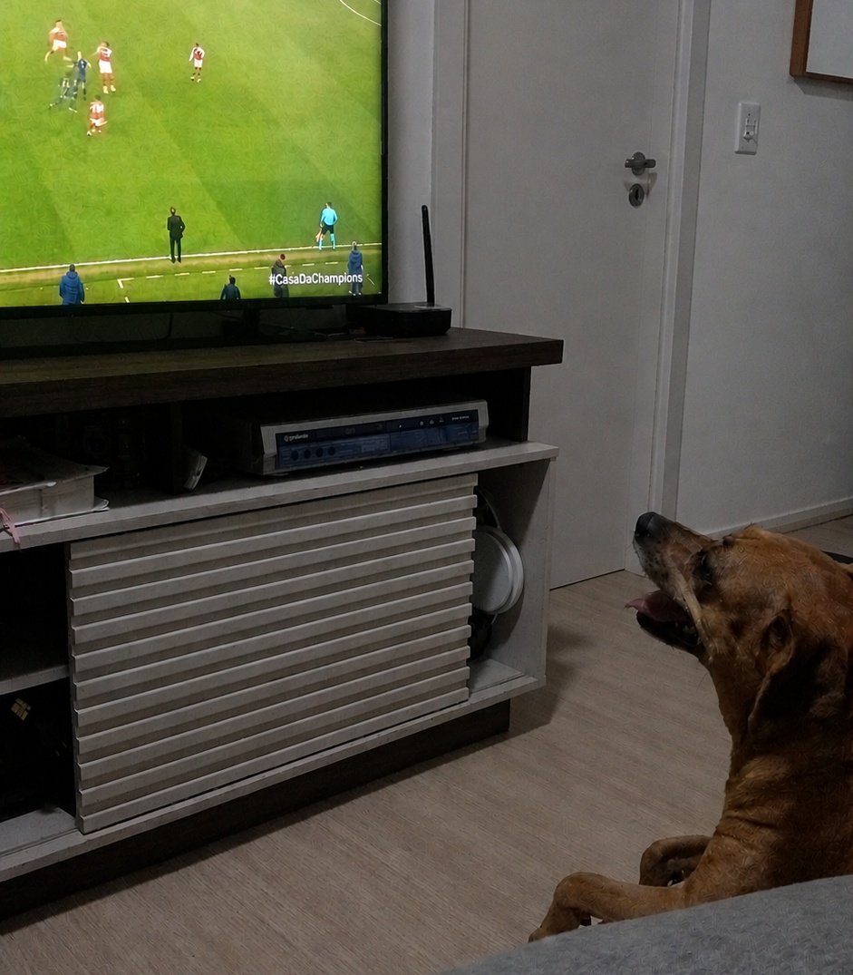 coldpalmerbr's tweet photo. Aqui em casa o cachorro é gooner. https://t.co/NkRxBPvO3w