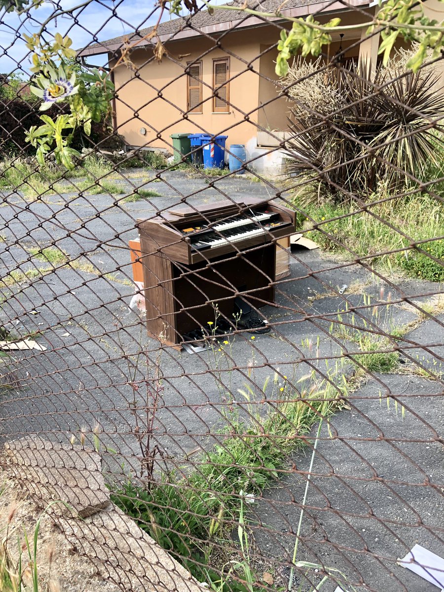 Organ Grinder Swing