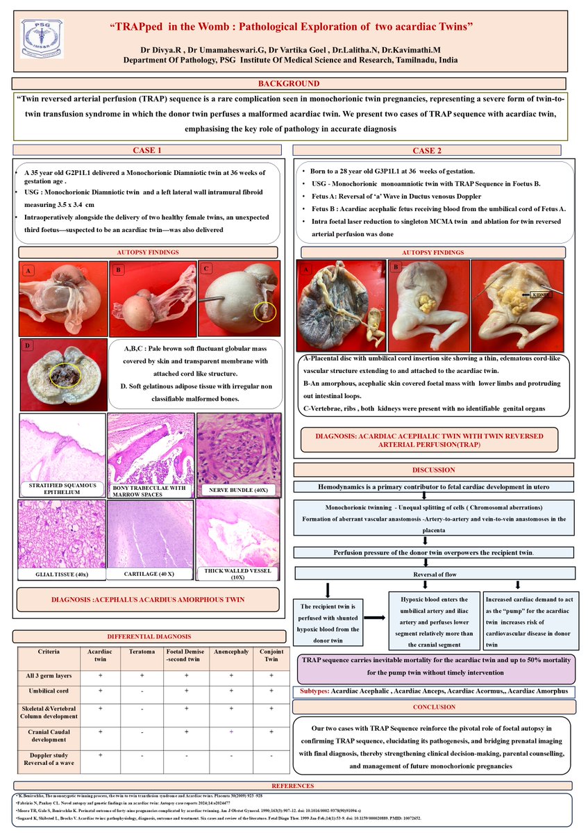 The British Assoc of Gynaecological Pathology tweet media