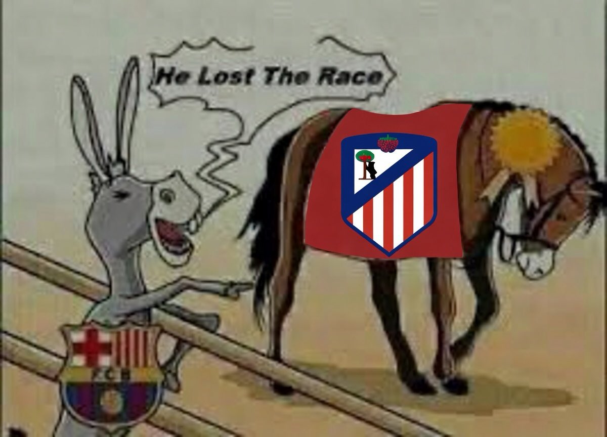 ThatMadridGuy tweet media