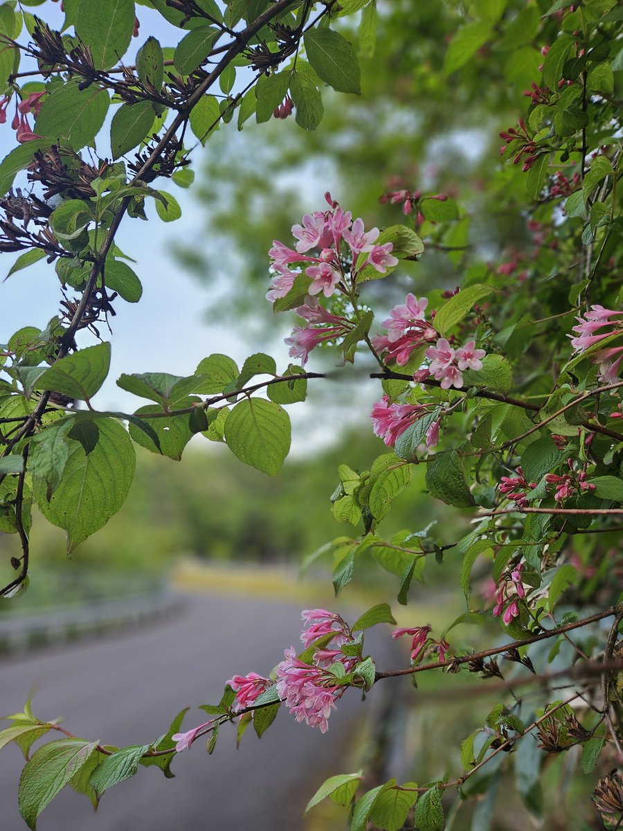 村雨 tweet media