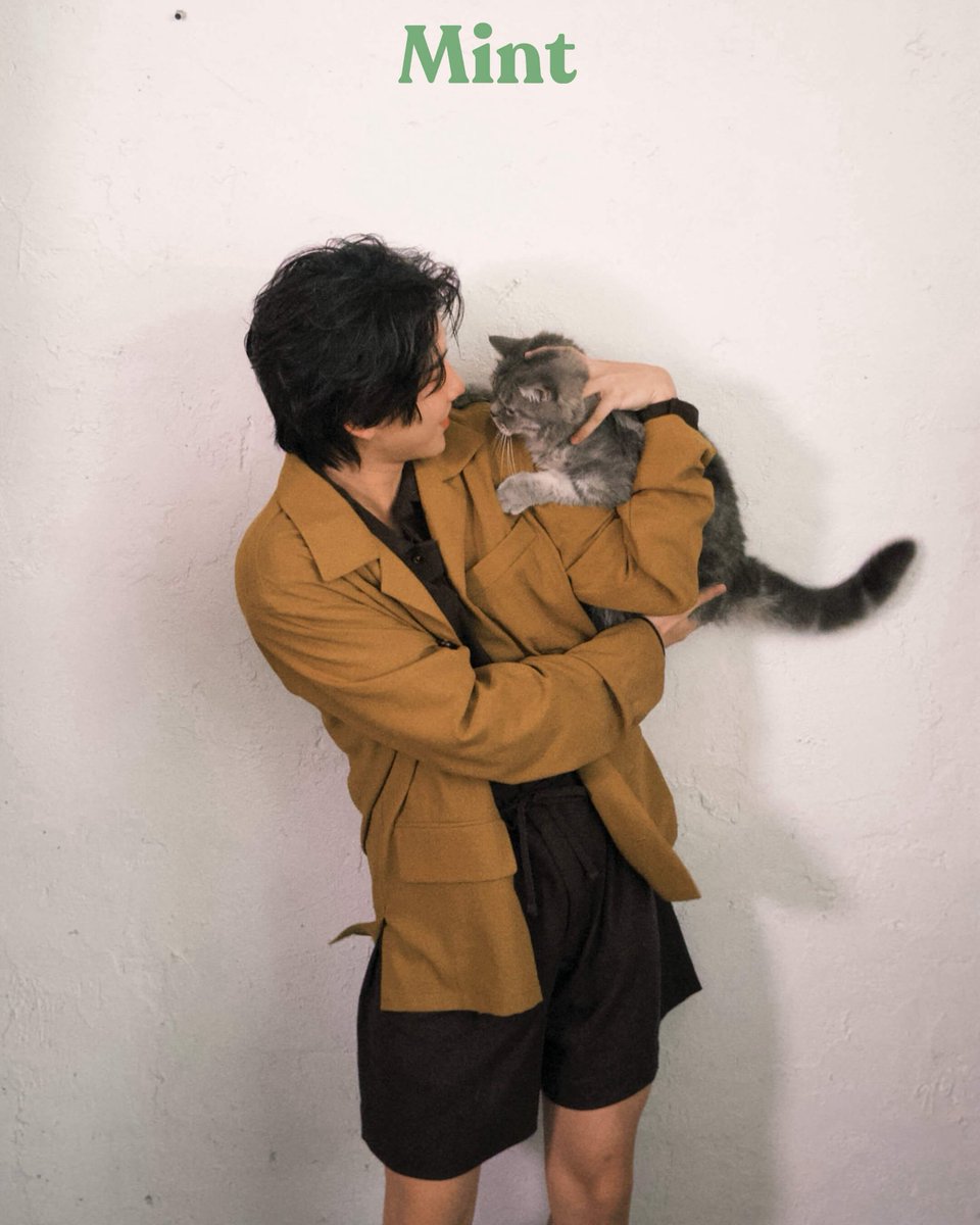 13430🐈‍⬛🐈🐉 tweet media