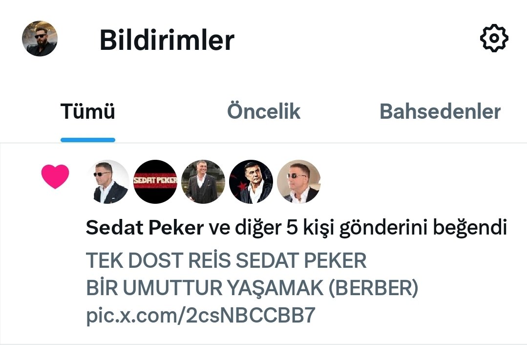 🇹🇷yiğit cesur parlar cebeci 🇹🇷R.S.P🇹🇷 tweet media