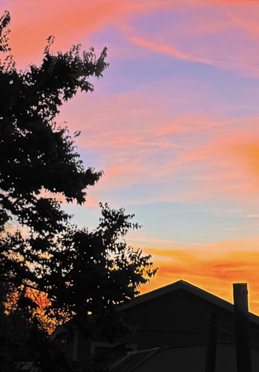 jonimarielew's tweet image. #clouds #sunset #Nevada #skies #desert #trees #pretty #colors