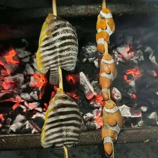 Los encontré