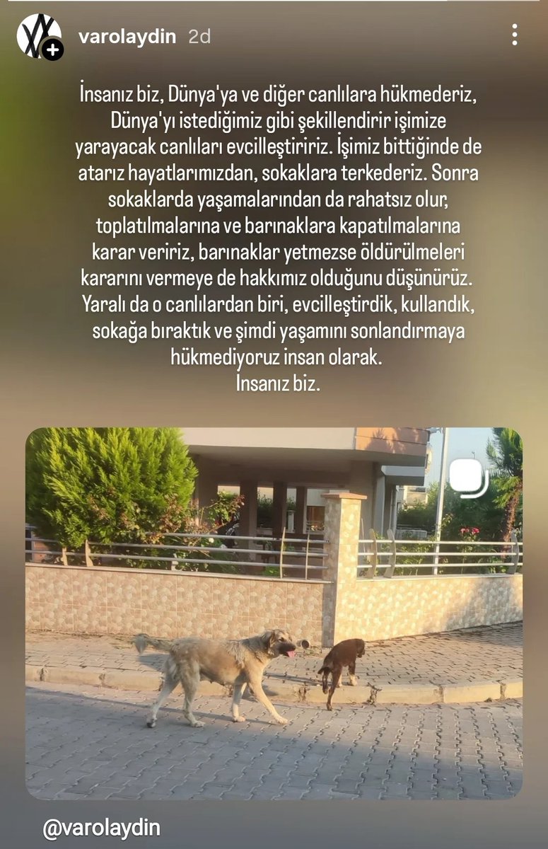 benimlatmosum's tweet photo. İnsanız biz.

https://t.co/cCnTg4JAqG https://t.co/lrJRQ3JsfE