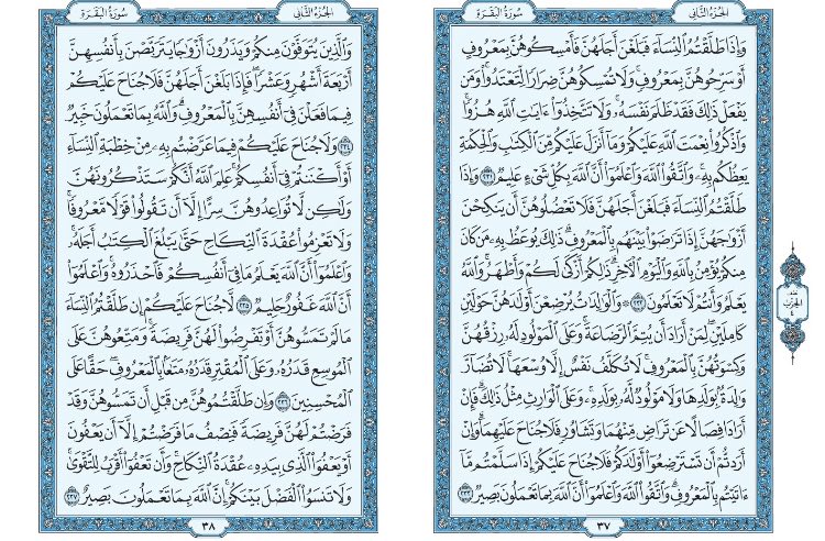 حور tweet media
