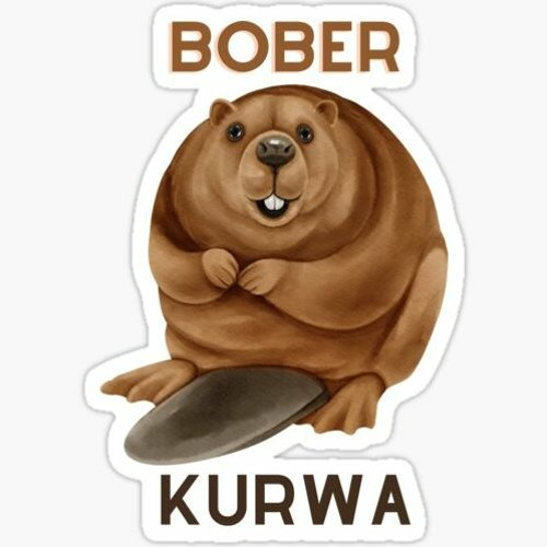 sᴉʇɹɐ ɐᴉʇɐɹƃ sɹ∀ 🇵🇱 tweet media