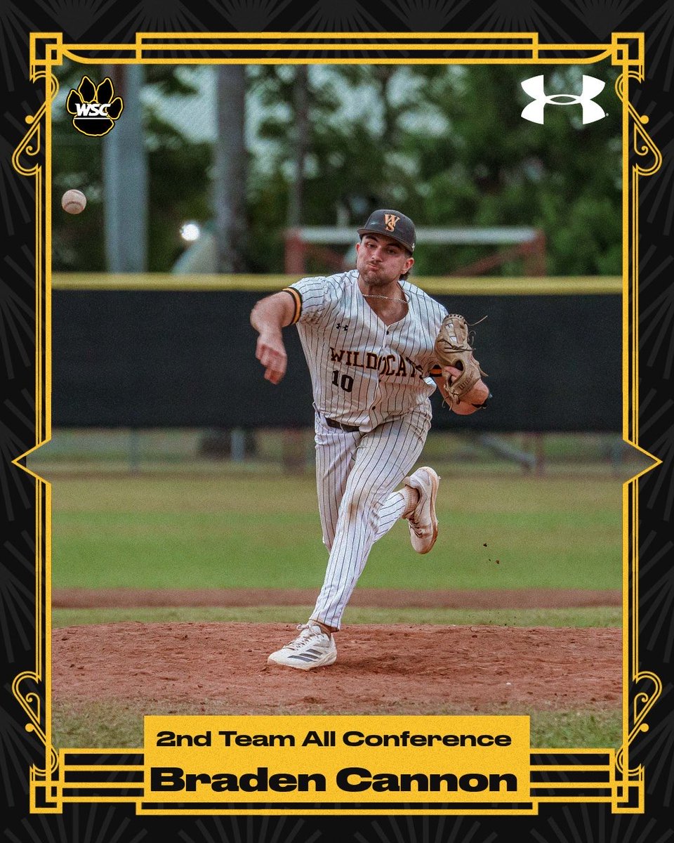 Wayne State Baseball tweet media