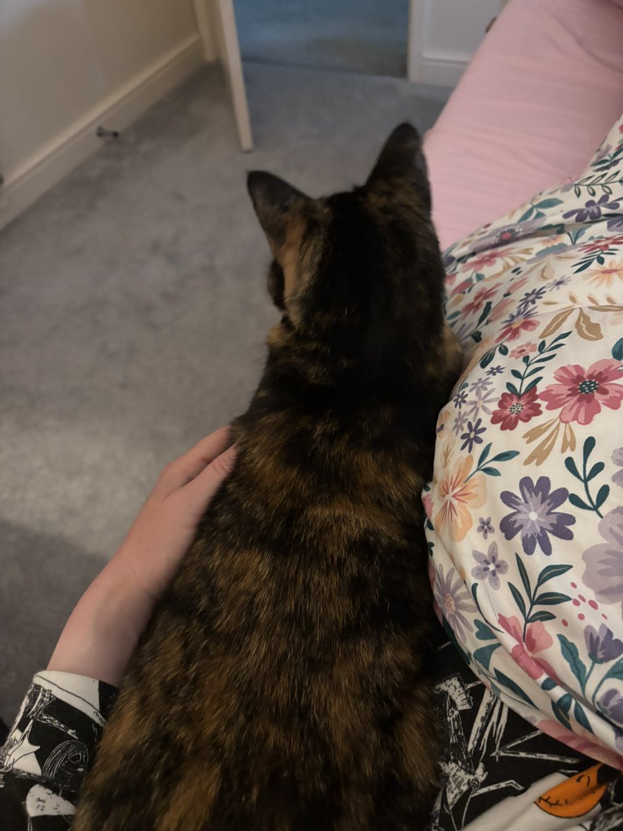 Gwenelope's tweet photo. Edu-cat chums - meat Fudge - allegedly quite shy…
Lordy what a purrrrrr she has
#petsitting #catsitter #imsomekindofcatcharmer 😻😽😺🐈🐈⬛ https://t.co/Gad1vfGV8s