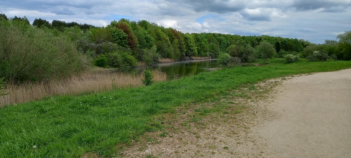 VONMONCHOFF's tweet image. Lovely walk around Silver Hill Trail with the Dogs this afternoon #TreeClub 🌳