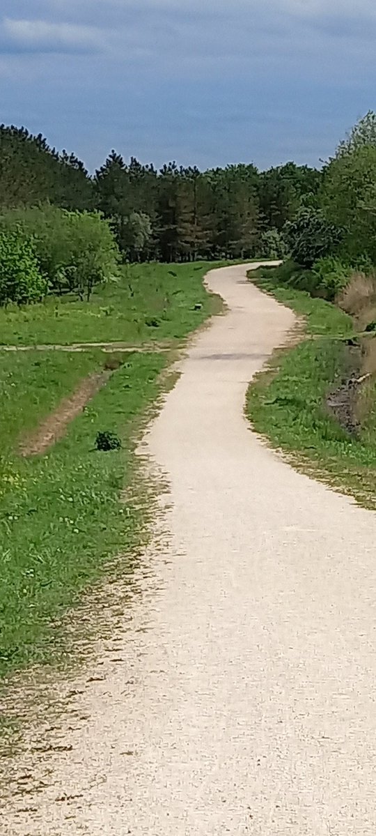 VONMONCHOFF's tweet image. Lovely walk around Silver Hill Trail with the Dogs this afternoon #TreeClub 🌳