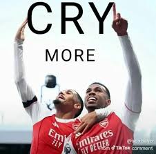 DavidRayaEnjoyer43 tweet media