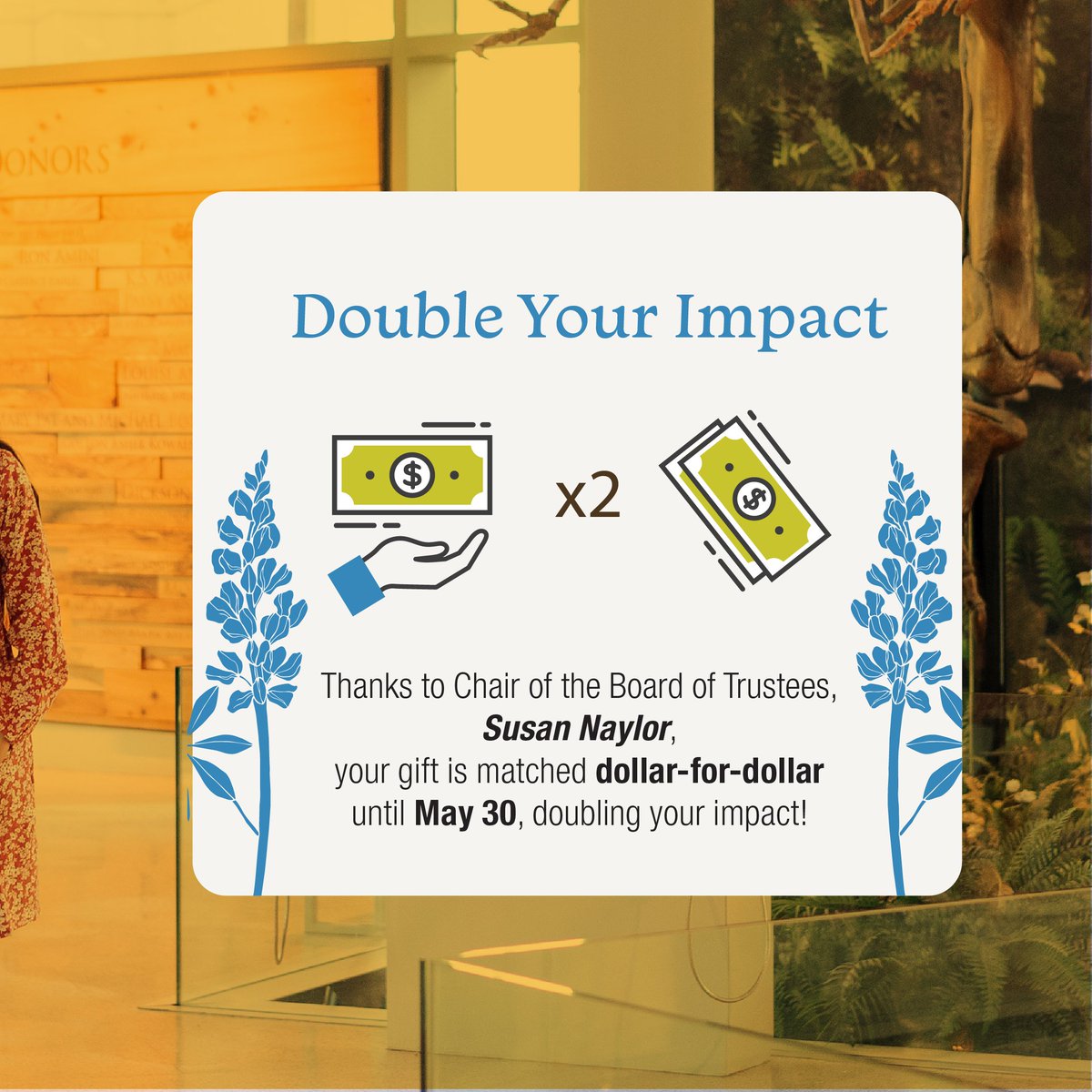 Witte Museum ~ Nature, Science & Culture tweet media