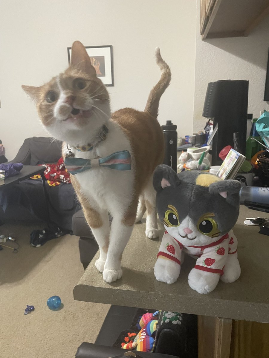 vinny 🧡 thomas, freckles, dumpling tweet media