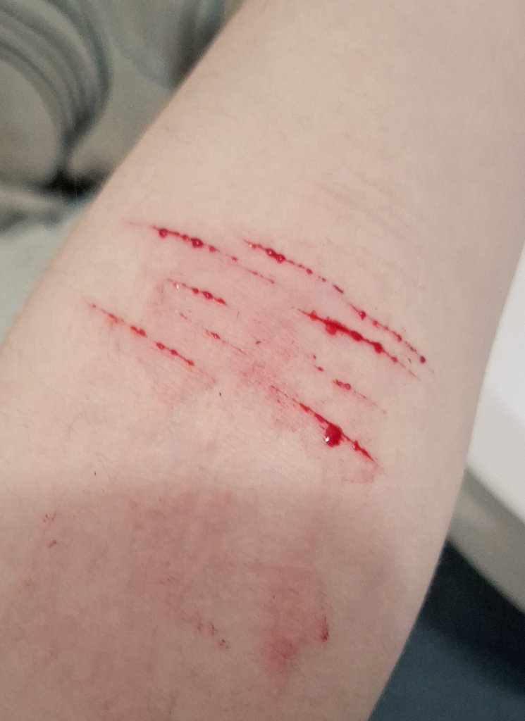 Jeje #shtwt