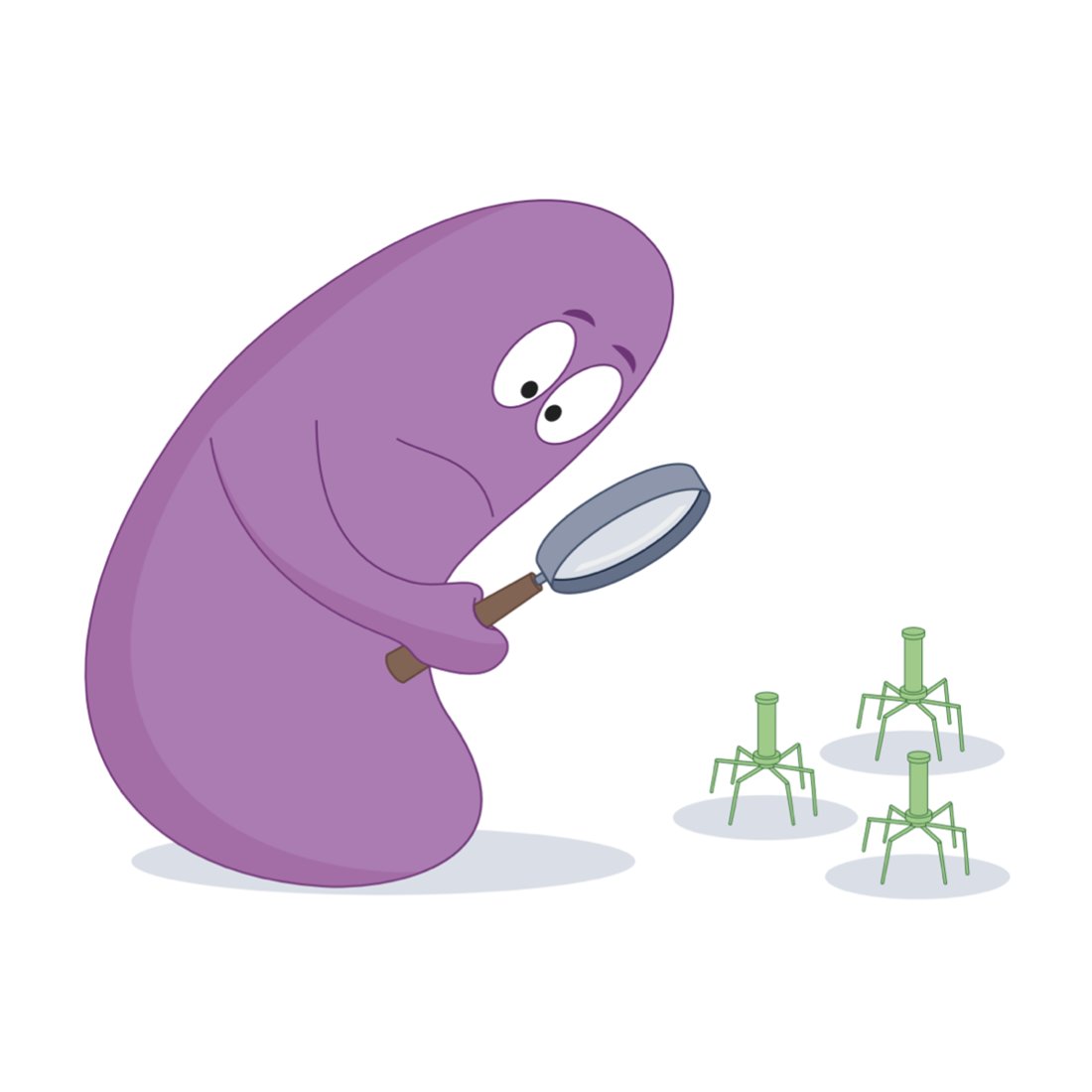 Joint Genome Institute tweet media
